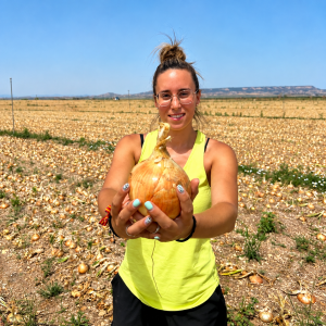 Cebollas Alcusón cultivando cebollas en campos de Aragón