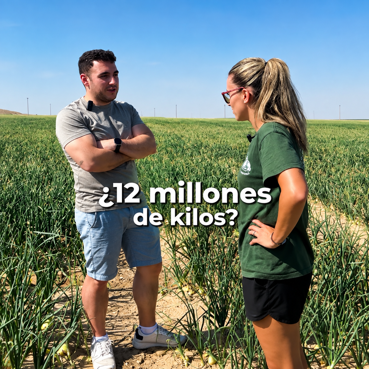 Cebollas Alcusón cultivando cebollas en campos de Aragón